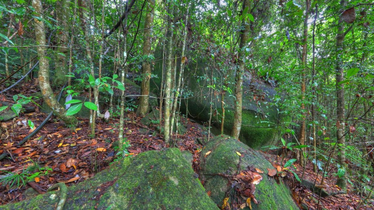 Riversong Retreat Bed & Breakfast Millaa Millaa ภายนอก รูปภาพ